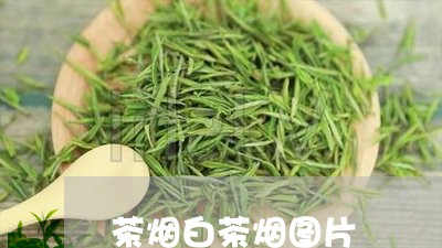 茶烟白茶烟图片/2023060906171