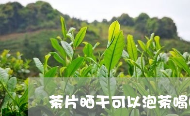 茶片晒干可以泡茶喝吗/2023092144148