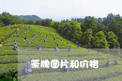 茶牌图片和价格/2023050160837