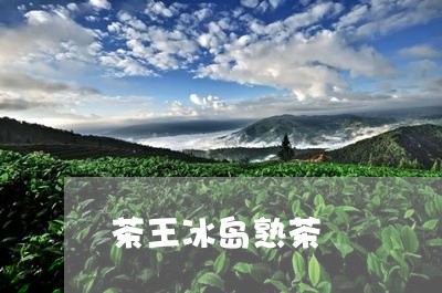 茶王冰岛熟茶/2023090749272