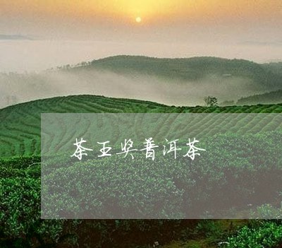 茶王奖普洱茶/2023042833568