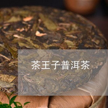 茶王子普洱茶/2023042826962