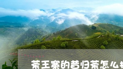 茶王寨的昔归茶怎么样/2023071637370