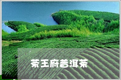 茶王府普洱茶/2023042807201