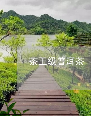 茶王级普洱茶/2023042835787