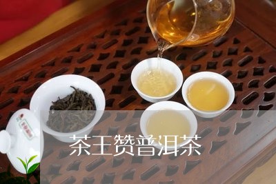 茶王赞普洱茶/2023042891969