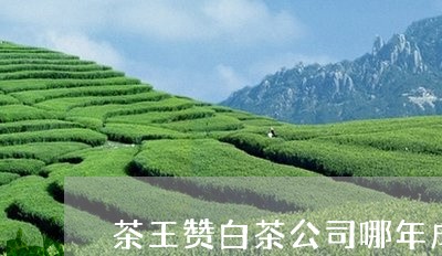 茶王赞白茶公司哪年成立的/2023042825147