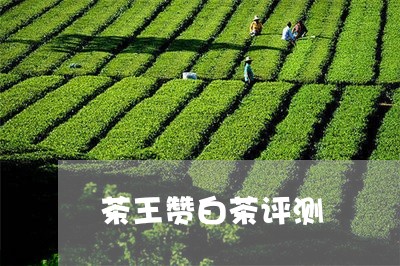 茶王赞白茶评测/2023060959581