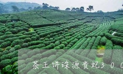 茶王饼珠源贵妃3000克价格/2023060162724