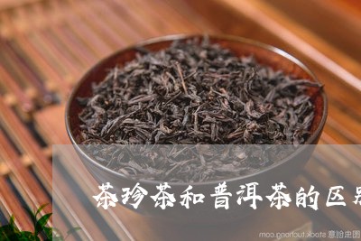 茶珍茶和普洱茶的区别/2023062874925