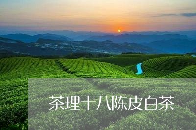 茶理十八陈皮白茶/2023063069683