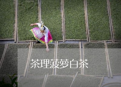 茶理菠萝白茶/2023052398280