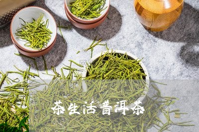 茶生活普洱茶/2023042849032