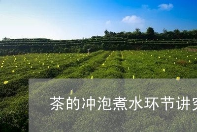 茶的冲泡煮水环节讲究/2023071555979