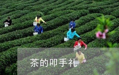 茶的叩手礼/2023122032626