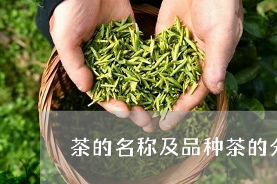 茶的名称及品种茶的分类及代表名茶/2023060487514