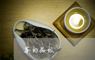 茶的品级/2023090159583