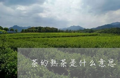 茶的熟茶是什么意思/2023042627372