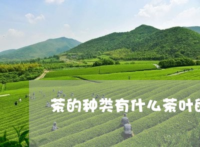 茶的种类有什么茶叶的种类大全/2023053106060