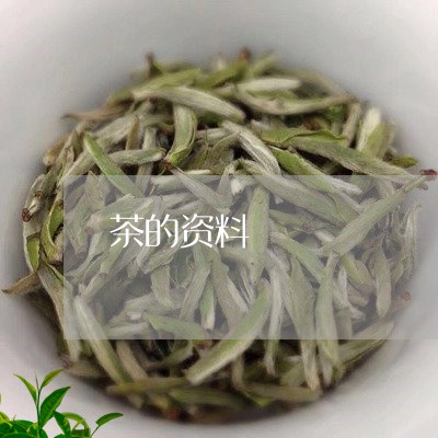 茶的资料/2023090171494