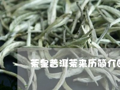 茶皇普洱茶来历简介图片/2023120735727