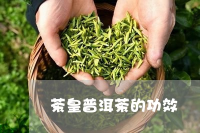 茶皇普洱茶的功效/2023120411837