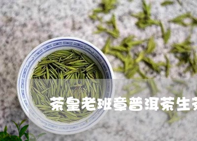 茶皇老班章普洱茶生茶/2023080718269