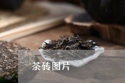 茶砖图片/2023090120491