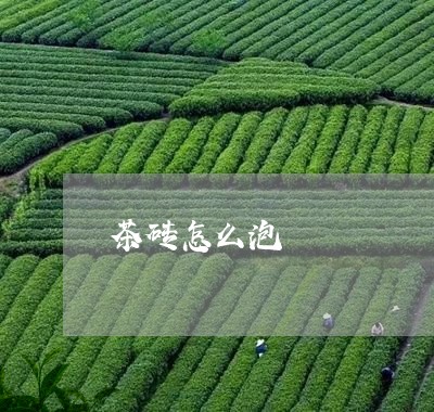 茶砖怎么泡/2023090255149