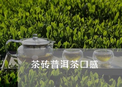 茶砖普洱茶口感/2023121862814