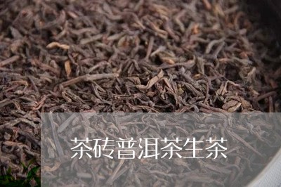 茶砖普洱茶生茶/2023082624605