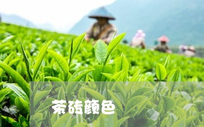 茶砖颜色/2023090178359