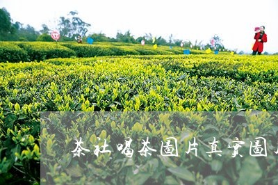 茶社喝茶图片真实图片/2023060848160