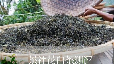 茶社花白茶测评/2023070852403