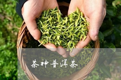 茶神普洱茶/2023090660694