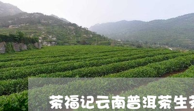 茶福记云南普洱茶生茶/2023120622717