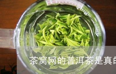 茶窝网的普洱茶是真的/2023062353026