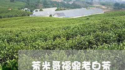 茶米哥福鼎老白茶/2023073198269