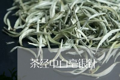 茶经中白毫银针/2023060957682