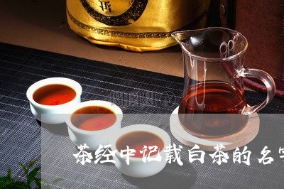 茶经中记载白茶的名字是什么/2023111485949