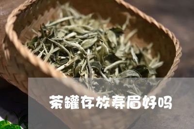 茶罐存放寿眉好吗/2023090805178