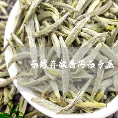 茶罐存放普洱茶多层/2023101773895