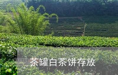 茶罐白茶饼存放/2023060903624