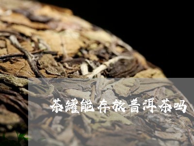 茶罐能存放普洱茶吗/2023120536158