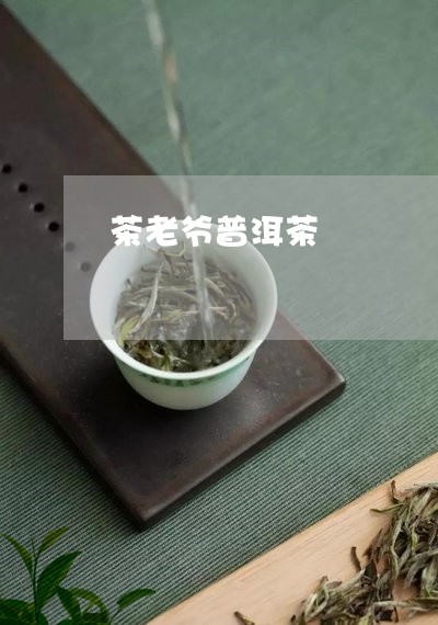 茶老爷普洱茶/2023042809685