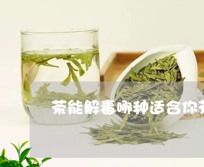 茶能解毒哪种适合你茶叶杀菌的原理/2023060452503