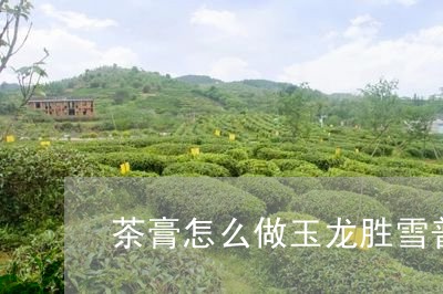 茶膏怎么做玉龙胜雪普洱茶膏怎么泡/2023060320594