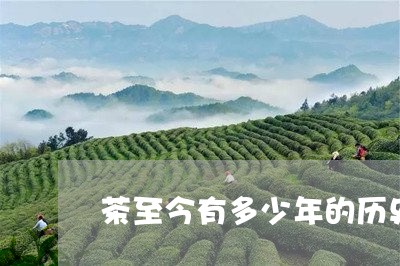 茶至今有多少年的历史/2023060921616