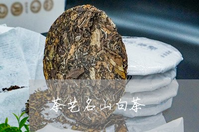 茶艺名山白茶/2023052315058