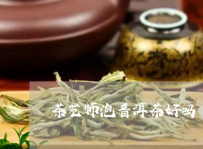 茶艺师泡普洱茶好吗/2023110896250